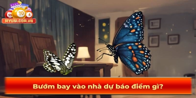 Buom-bay-vao-nha-du-bao-diem-gi