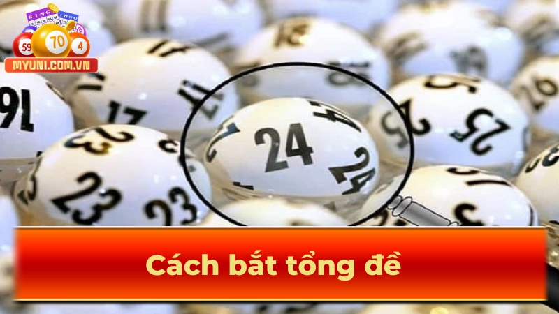 Cách Bắt Tổng Đề Chuẩn Xác Đến 99% Từ Chuyên Gia Hàng Đầu