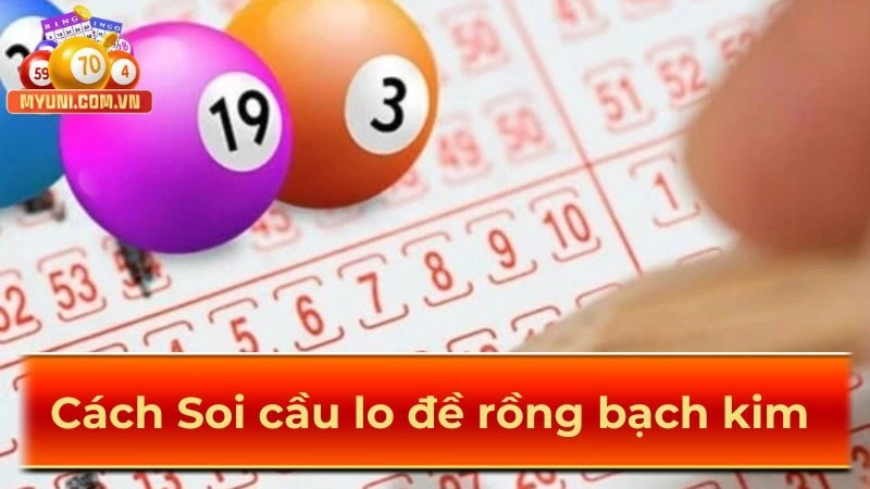 Cach-soi-cau-lo-de-rong-bach-kim