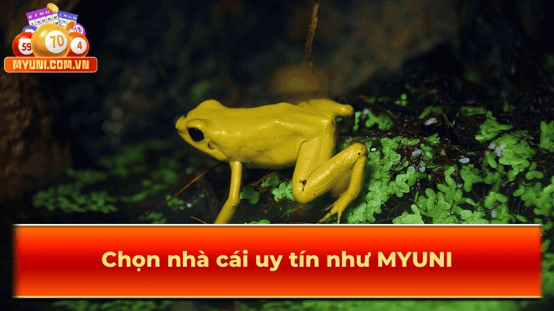 Chọn lựa các nhà cái uy tín như MYUNI để tránh bị lừa