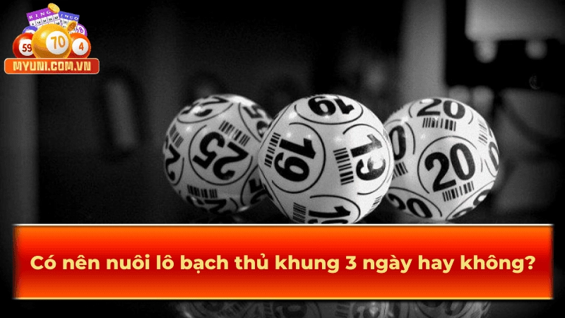 Có nên nuôi lô bạch thủ khung 3 ngày hay không?