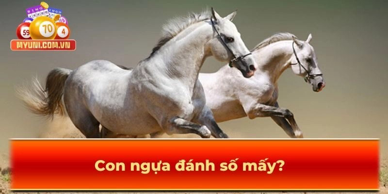 Giải mã chuyên sâu: Con ngựa đánh số mấy