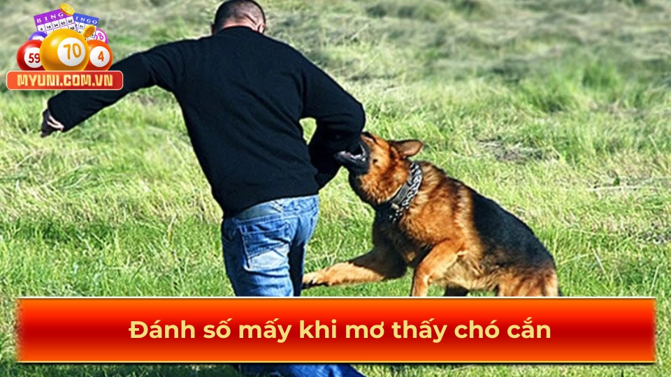 Danh-so-may-khi-mo-thay-cho-can
