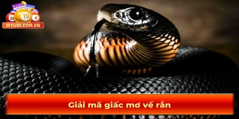 Giai-ma-giac-mo-ve-ran