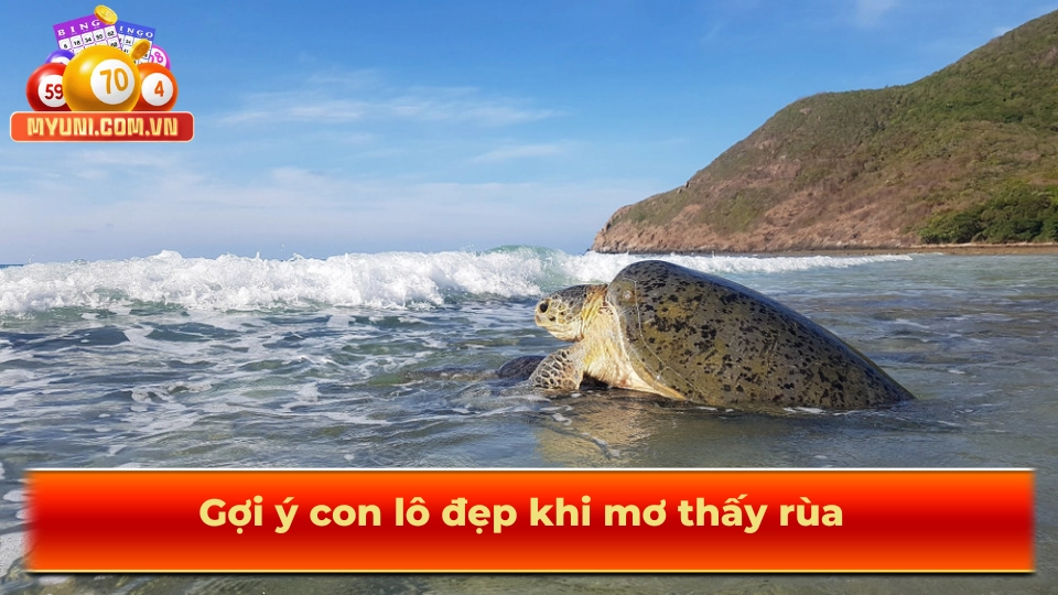 Goi-y-con-lo-dep-khi-mo-thay-rua