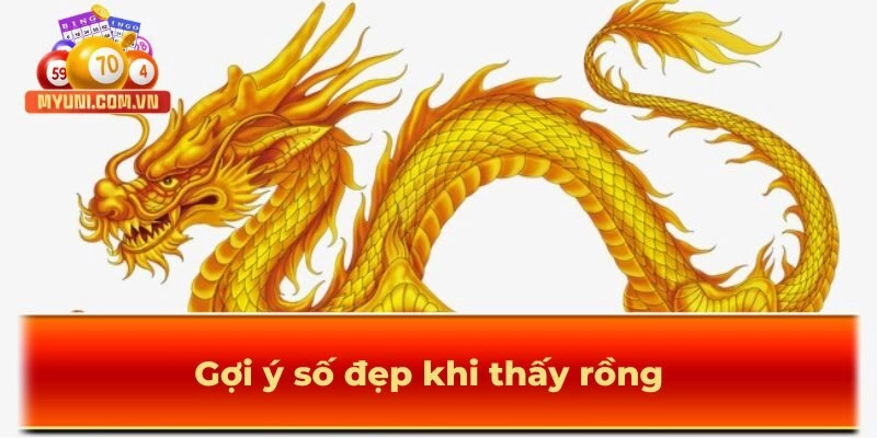 Gợi ý số đẹp khi thấy rồng vàng