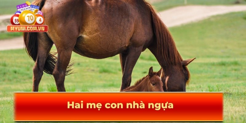 Hai mẹ con nhà ngựa