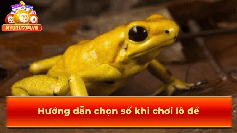 Hướng dẫn các cách chọn hay để mang về lợi nhuận lớn