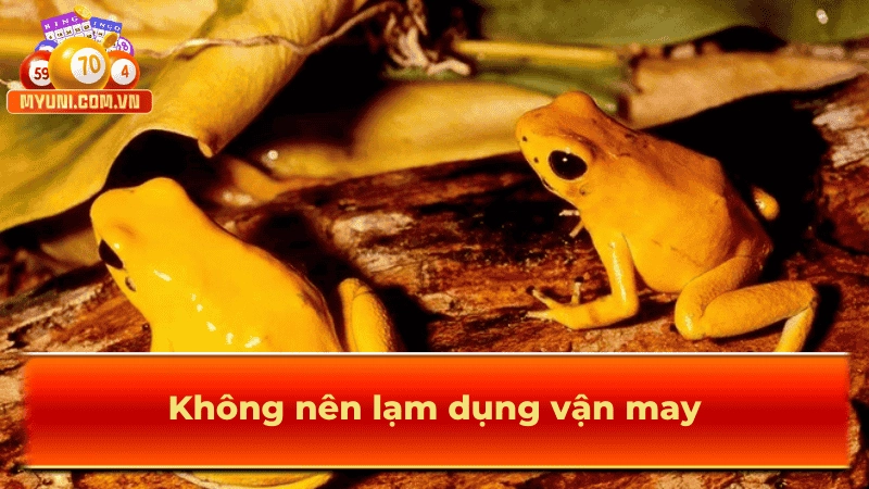 Không nên quá lạm dụng các vận may này