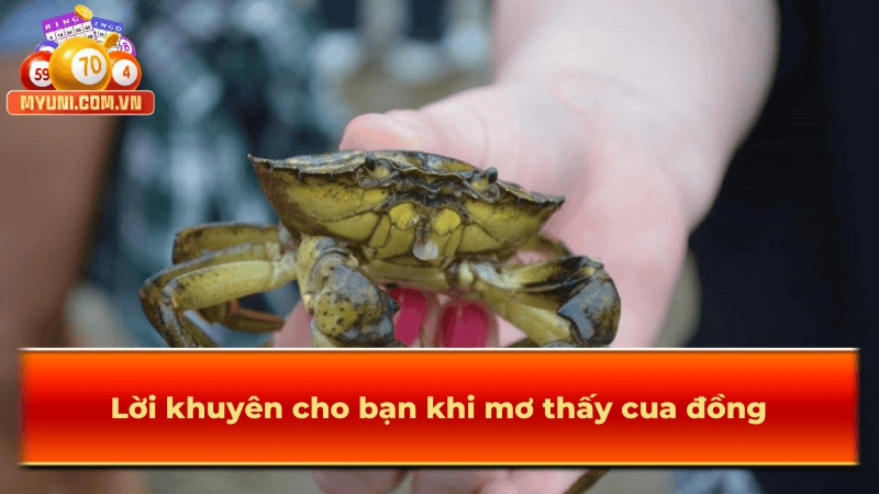 Lời khuyên cho bạn khi mơ thấy cua đồng