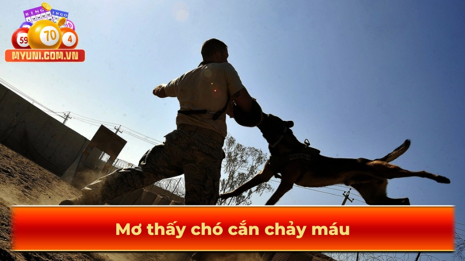 Mo-thay-cho-can-chay-mau