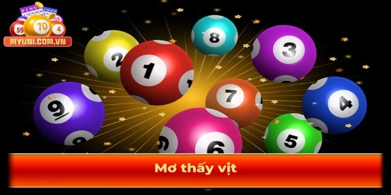 Mo-thay-vit