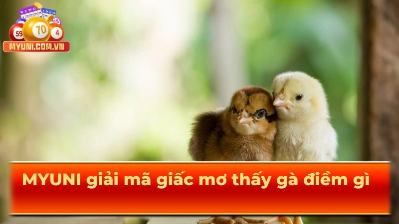 Myuni-giai-ma-giac-mo-thay-ga-diem-gi-cho-hoi-vien
