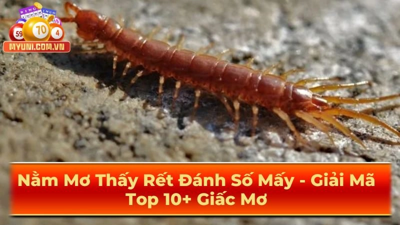 Myuni-giai-ma-nam-mo-thay-ret-danh-so-may