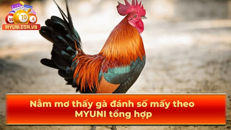 Nam-mo-thay-ga-danh-so-may-theo-myuni-tong-hop