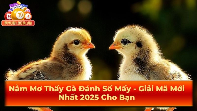 Nam-mo-thay-ga-danh-so-may