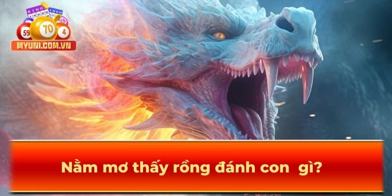 Nằm mơ thấy rồng đánh con gì?