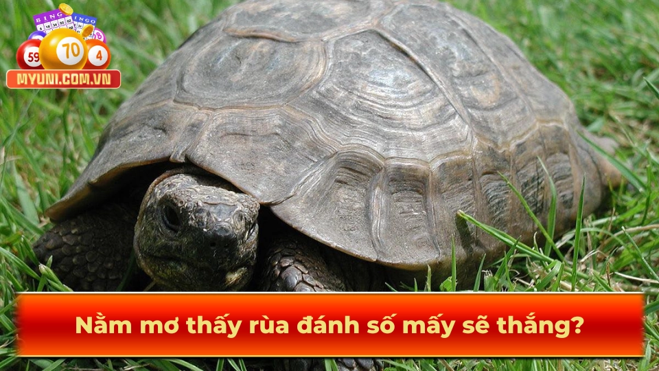 Nam-mo-thay-rua-danh-so-may-se-chien-thang
