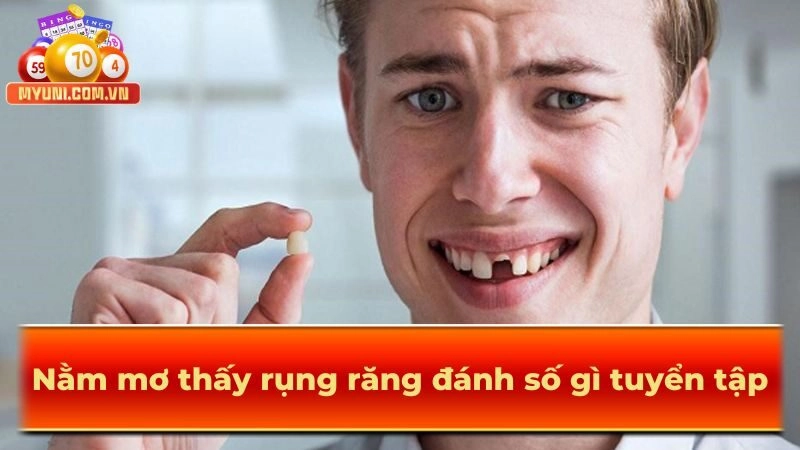 Nam-mo-thay-rung-rang-danh-so-gi-tuyen-tap