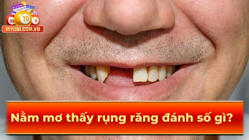 Nam-mo-thay-rung-rang-danh-so-gi