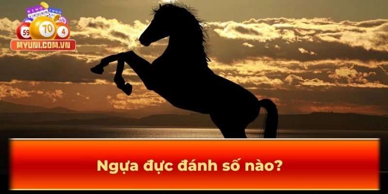 Ngựa đực đánh số nào?
