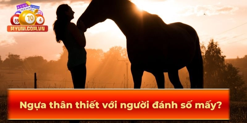 Ngựa thân thiết với người huấn luyện