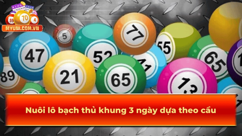 Nuôi lô bạch thủ khung 3 ngày dựa theo cầu