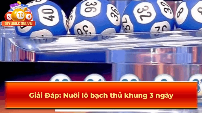 Nuôi lô bạch thủ khung 3 ngày