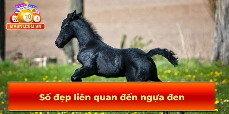 Số đẹp liên quan đến ngựa đen