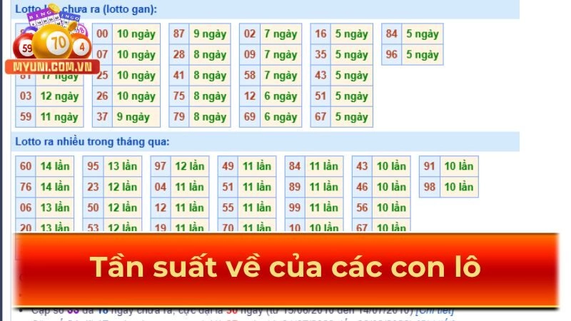 Tan-suat-ve-cua-cac-con-lo